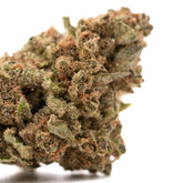 Cheesecake THCa Hemp Flower - Plants